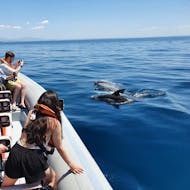 Menschen, die die Delfine beobachten, die sich direkt neben dem Boot befinden, während der Private Delfinbeobachtungstour ab Lagos mit Days of Adventure Algarve.