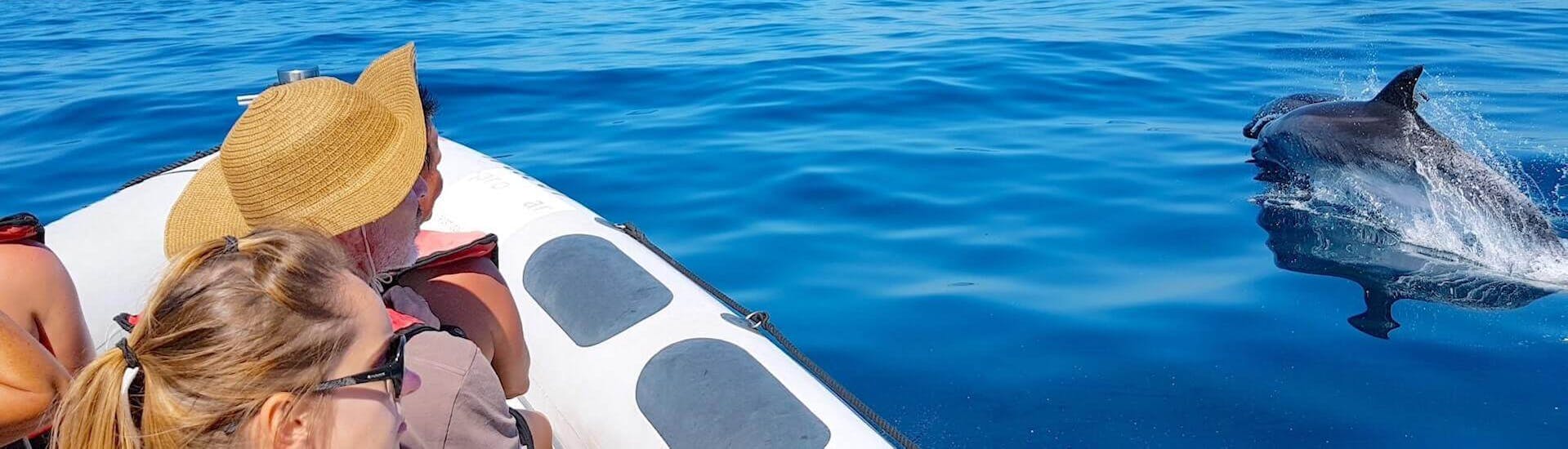 Delfine direkt neben dem Schnellboot während der Private Delfinbeobachtungstour ab Lagos.
