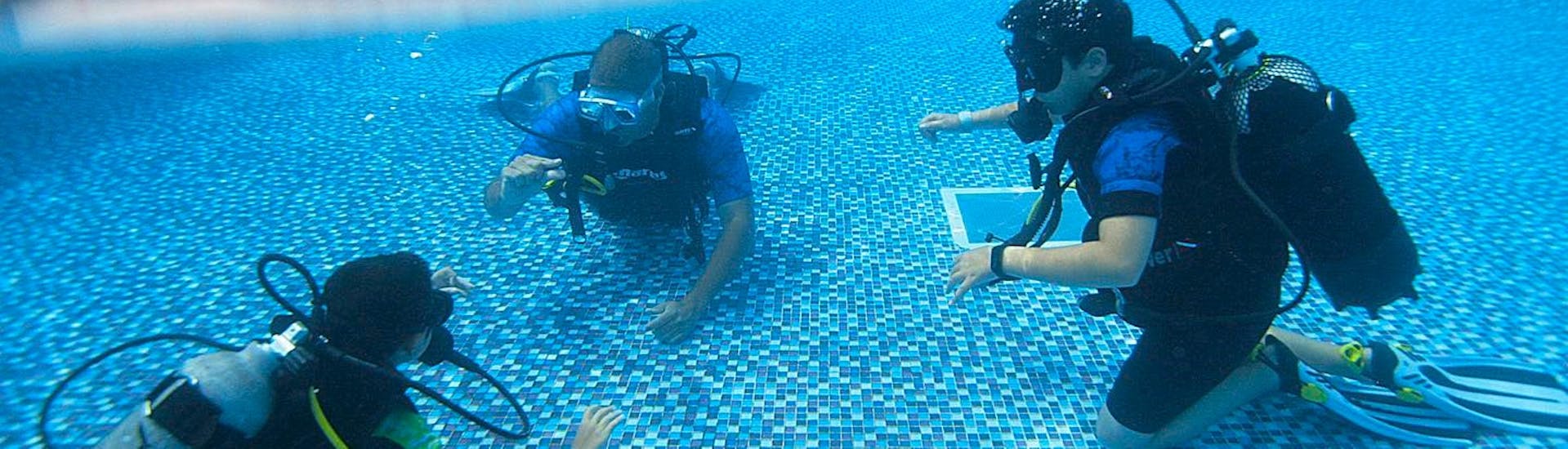 Half submerged camera image showing the scuba rangers from WeDive Lagos in the pool below the surface, while above the surface a volleyball net spans across the pool.