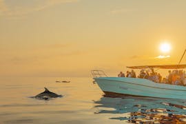 Gita in barca a Cap de Formentor con osservazione della fauna selvatica con My Sea Experience Alcúdia.