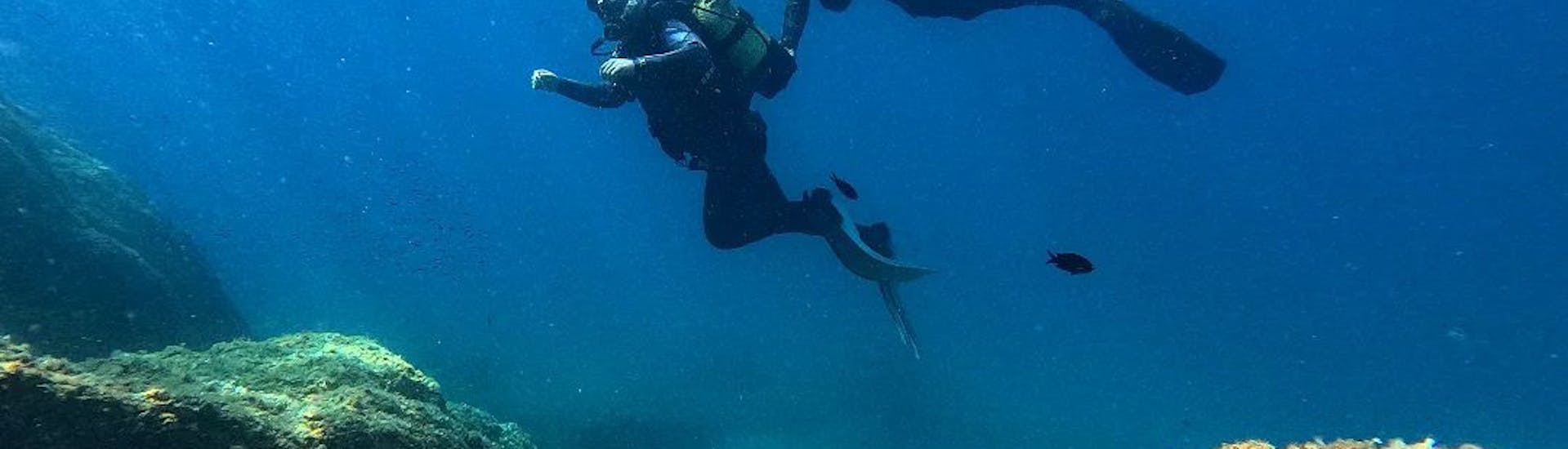 Personas haciendo el curso SSI Basic Diver divirtiendose en Lloret de Mar desde Dolphins Diving Center Lloret de Mar.