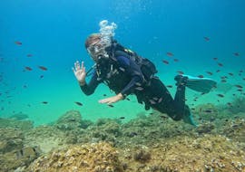 Una persona haciendo el curso SSI Basic Diver divirtiendose en Lloret de Mar desde Dolphins Diving Center Lloret de Mar.