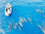 A picture of a boat on the sea surrounded by dolphines during a Boat Trip from Saint Cyr Sur Mer with Wales & Dolphin Watching from Cap Sud Horizon Saint-Cyr-sur-Mer.