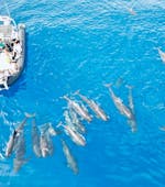 Een foto van een boot op zee omringd door dolfijnen tijdens een Boottocht van Saint-Cyr-sur-Mer met wild spotten met Cap Sud Horizon Saint-Cyr-sur-Mer.