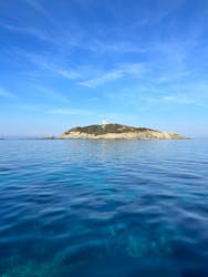 Photo of the sea and an island in daylight during a Boat Trip from Saint-Cyr-Sur-Mer to the Calanques with Swimming Stop from Cap Sud Horizon Saint-Cyr-sur-Mer.