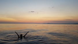 Ein Bild einer Frau im Meer während einer Bootsfahrt zum Sonnenuntergang ab Saint Cyr sur Mer mit Apéritif mit Cap Sud Horizon Saint-Cyr-sur-Mer.