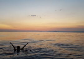 Ein Bild einer Frau im Meer während einer Bootsfahrt zum Sonnenuntergang ab Saint Cyr sur Mer mit Apéritif mit Cap Sud Horizon Saint-Cyr-sur-Mer.