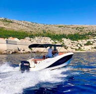 Gita privata in barca da Marbella a Marbella con osservazione della fauna selvatica con Rental Boat Marbella.