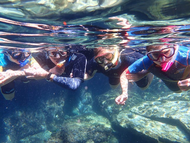 Four people that are snorkeling during the Snorkeling Trip in Kassandra.