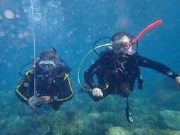 Twee mensen die duiken tijdens de Scuba Duikcursus (PADI) voor beginners met Dive Club Kassandra.