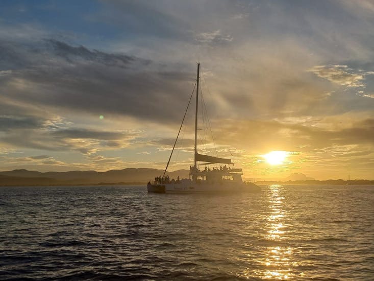 Gita in catamarano da Denia a Cova Tallada al tramonto e visita turistica.