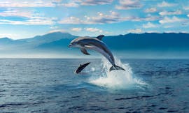 Boat Trip from Giardini Naxos to Taormina with Dolphins Watching & Apèritif.