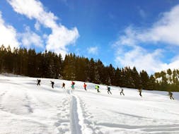 Un groupe se promène sur la montagne et profite du magnifique paysage de forêt pendant leur cours particulier de ski de fond - tous niveaux & âges avec l'école de ski Diablerets Pure Trace.