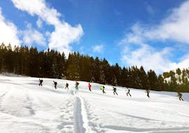 Un groupe se promène sur la montagne et profite du magnifique paysage de forêt pendant leur cours particulier de ski de fond - tous niveaux & âges avec l'école de ski Diablerets Pure Trace.