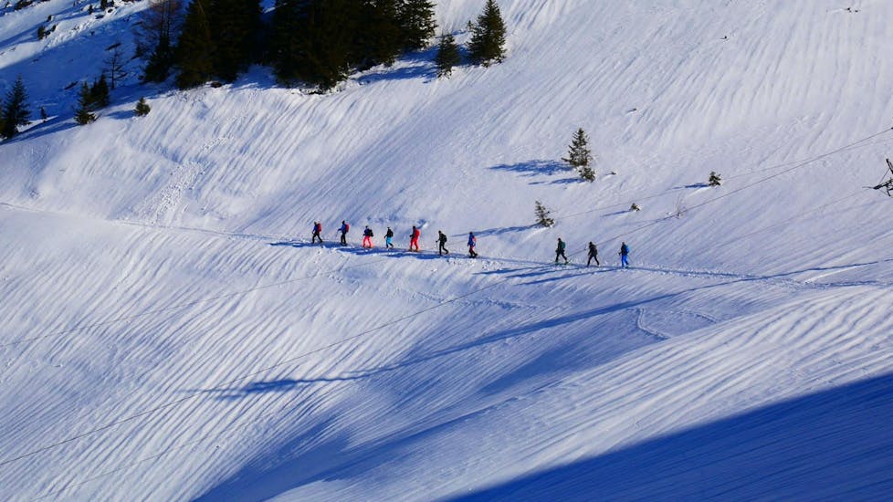 A group of people on a private ski tour with Diablerets Pure Trace can be seen in the distance as they make their way along a snowy trail in the ski resort of Les Diablerets.