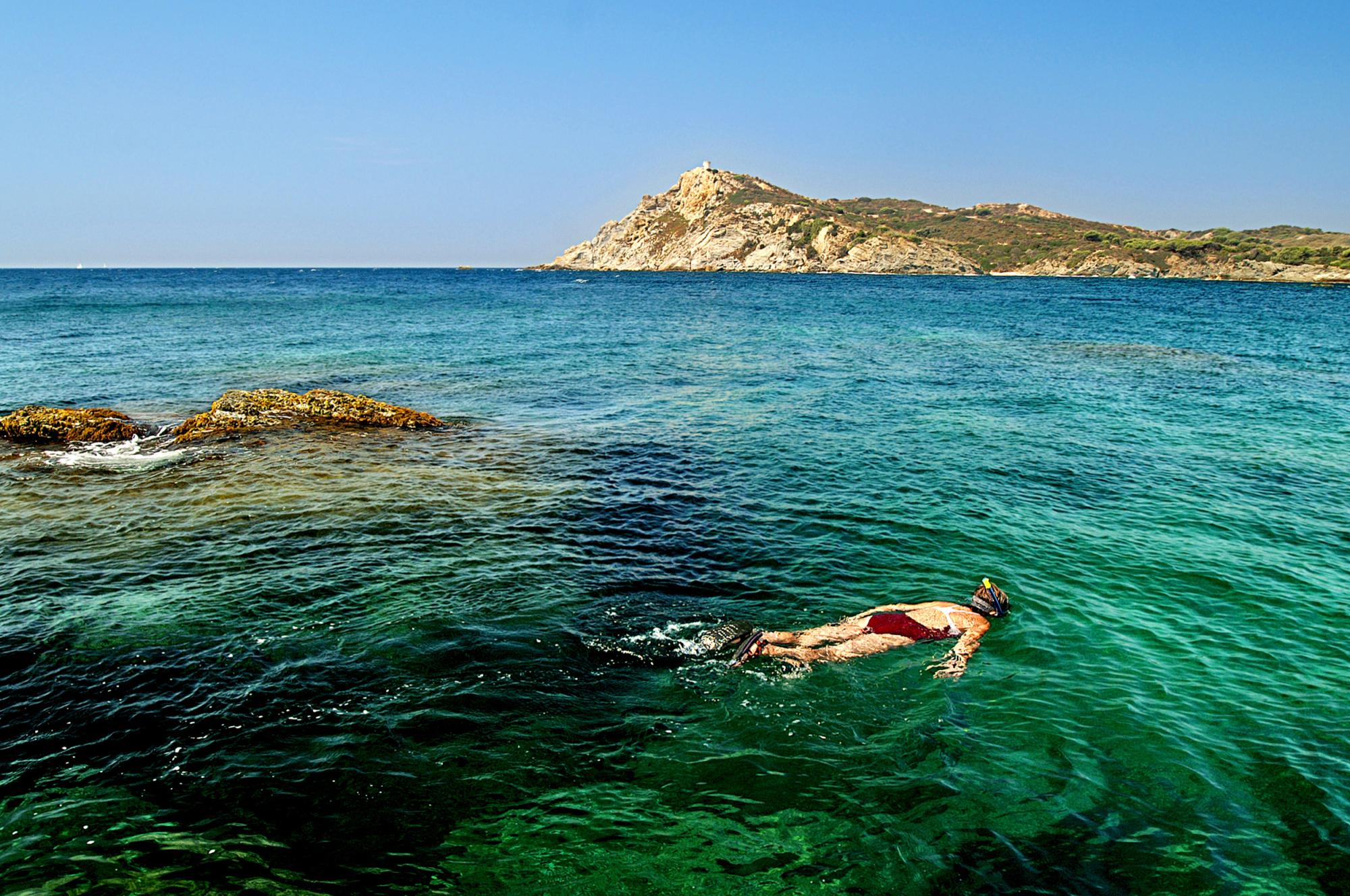 Una persona che nuota in mare durante Tour in barca alle Isole di Rouveau ed Embiez con soste per nuotare con Maïreva Sanary-Sur-Mer.