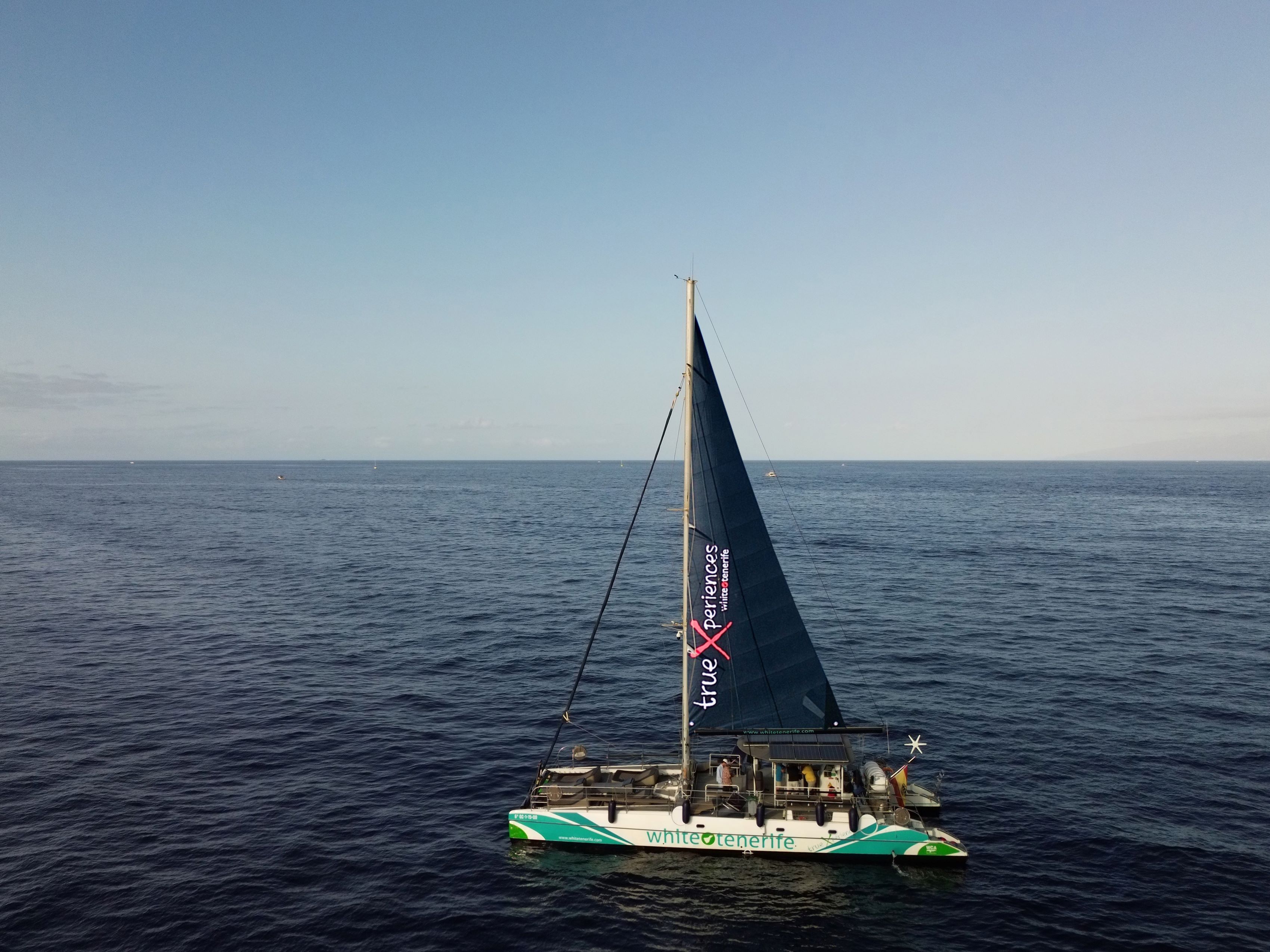 Whale & Dolphin Eco-Catamaran Trip in Costa Adeje with Snacks & Drinks from White Tenerife.