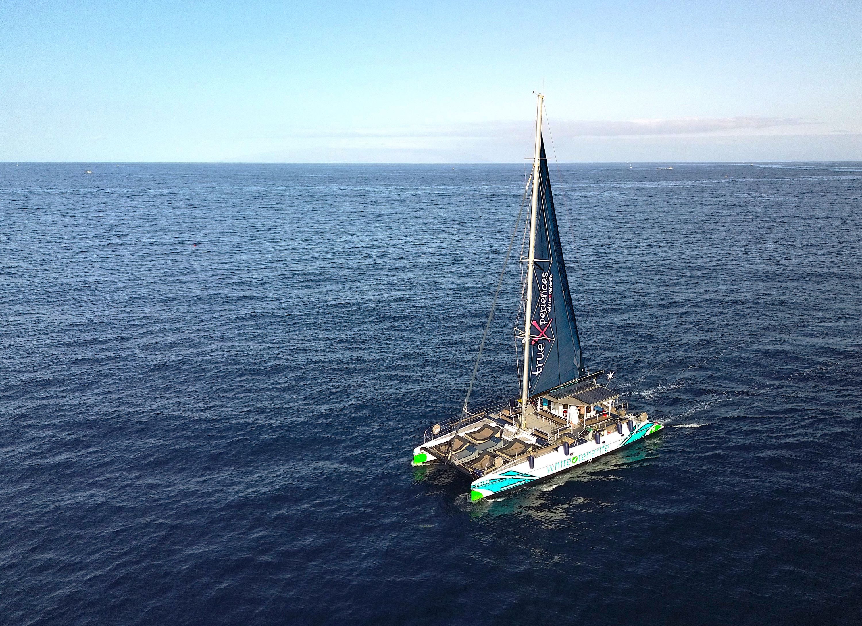 Giro in eco-catamarano a Costa Adeje con avvistamento di balene e delfini & snack.