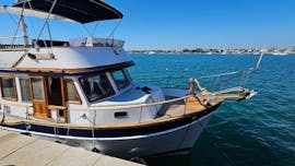 Bootsfahrt entlang der Küste von Umag mit Delfinbeobachtung und Schwimmen mit Nautica Boat Asterix Umag.