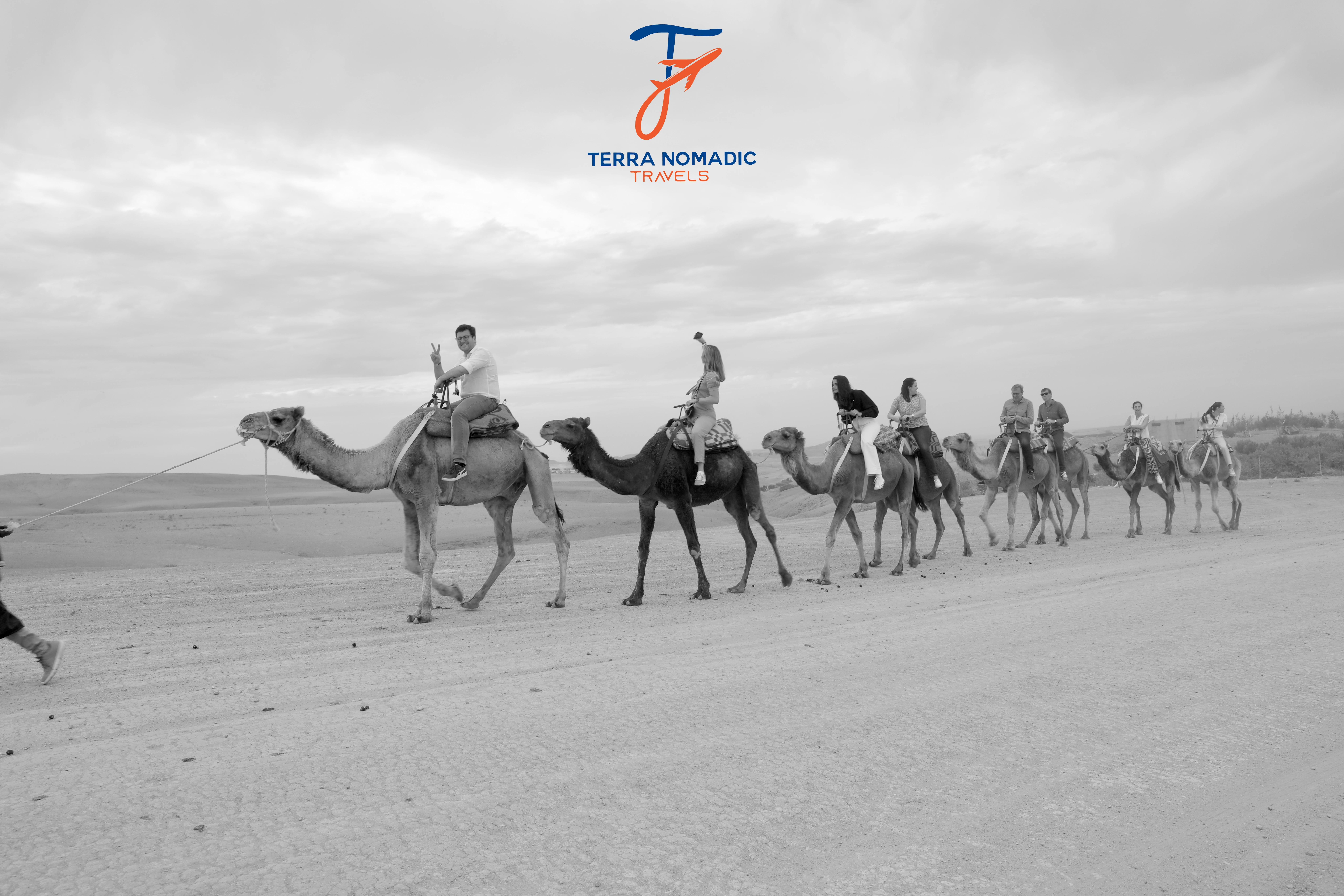 Tour in van da Marrakech al deserto di Agafay con giro in quad o cammello e cena con Terra Nomadic Travels Marrakech.