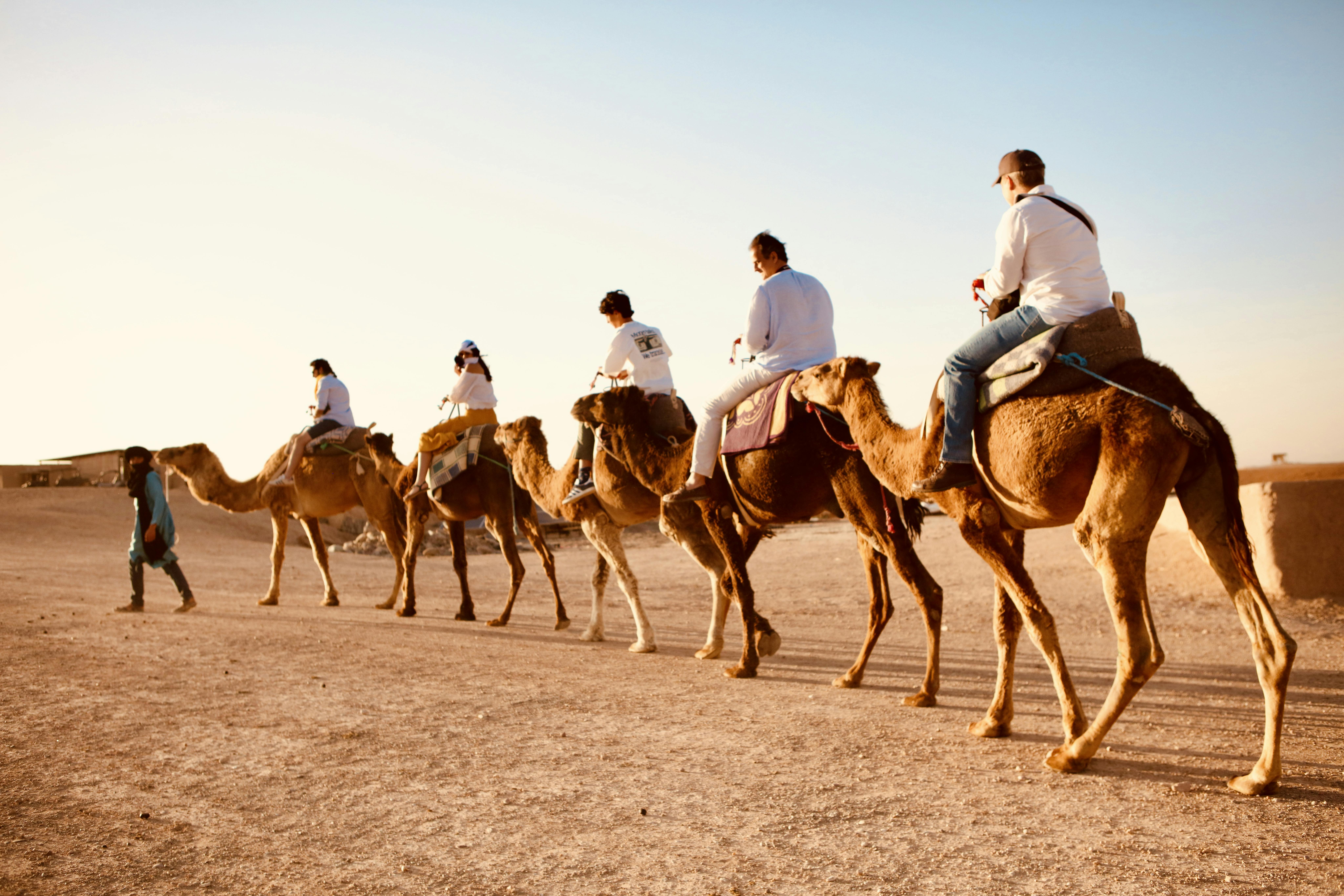 Van-Tour von Marrakesch in die Agafay-Wüste mit Quad- oder Kamelritt und Abendessen mit Terra Nomadic Travels Marrakech.