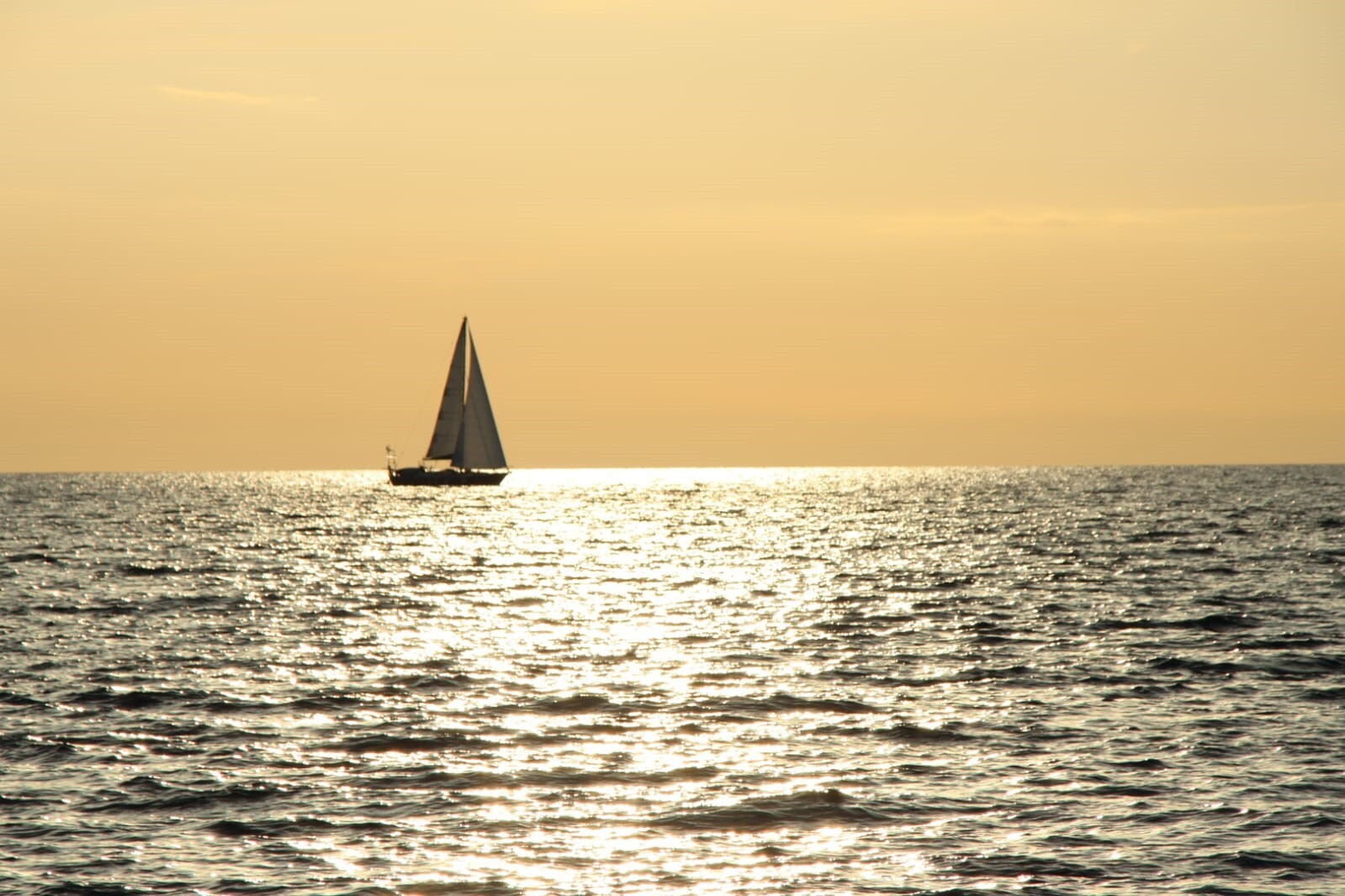 Paseo en Velero al Atardecer a la Isla de La Maddalenetta con Aperitivo con Sapore di Vela Alghero.