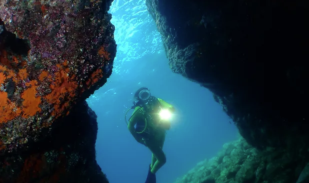 Guided Night Dive in Tremiti Islands for Certified Divers from Aquodiving Tremiti.