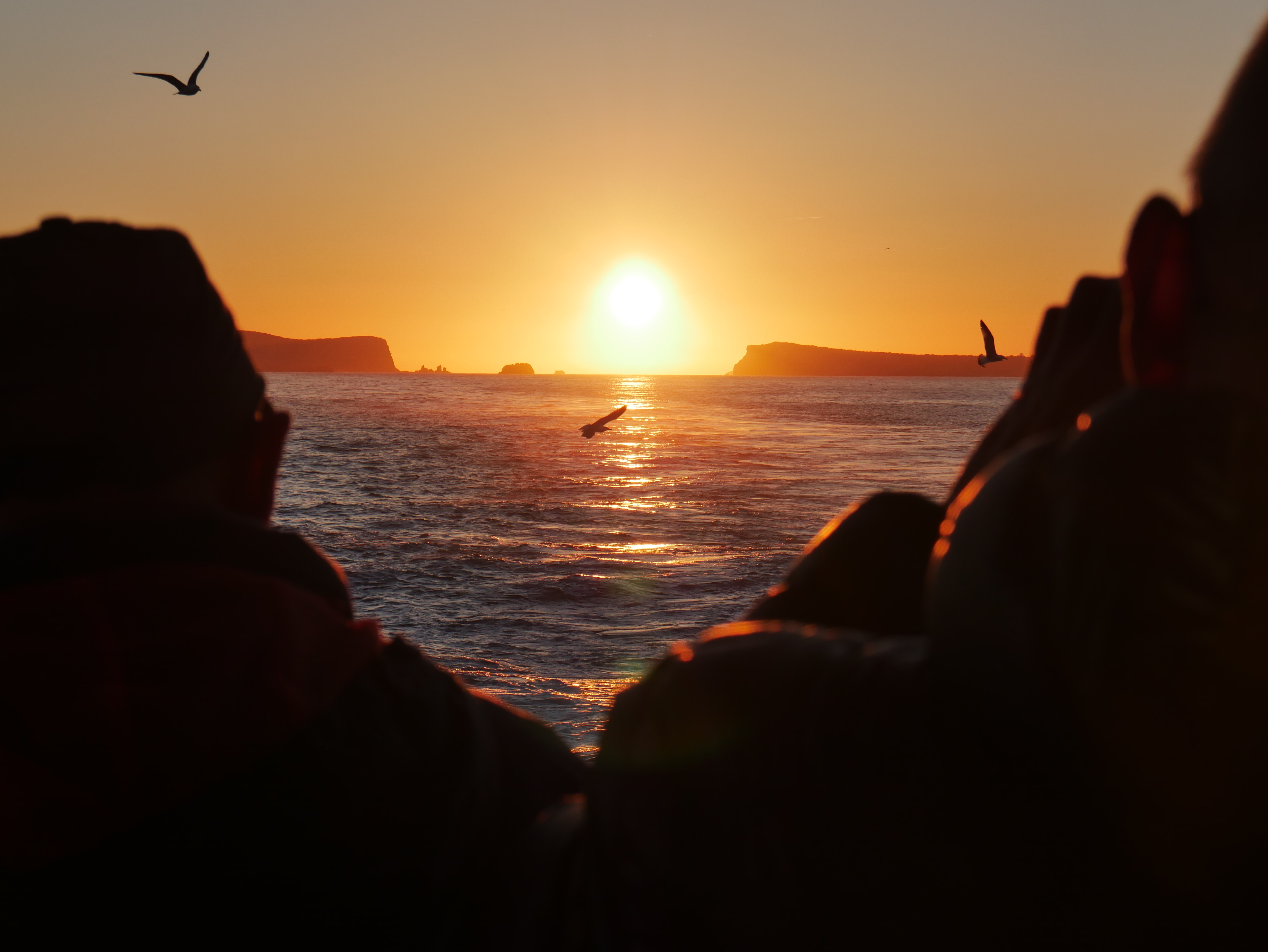 Bootstour bei Sonnenuntergang nach Es Vedrà mit Schwimmstopp.