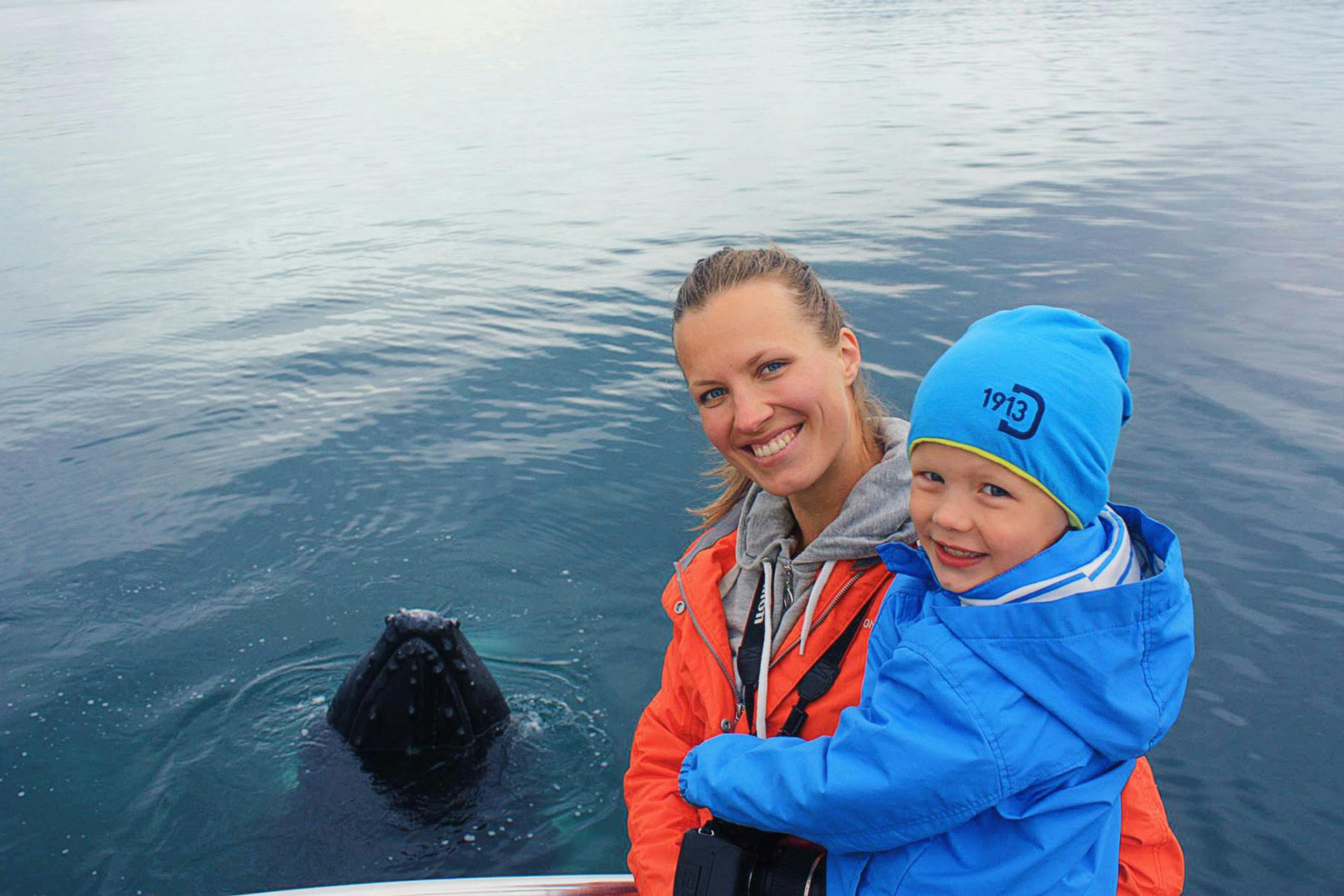Boat Trip along the Eyjafjörður from Árskógssandur with Whale Watching from Northsailing Húsavík.