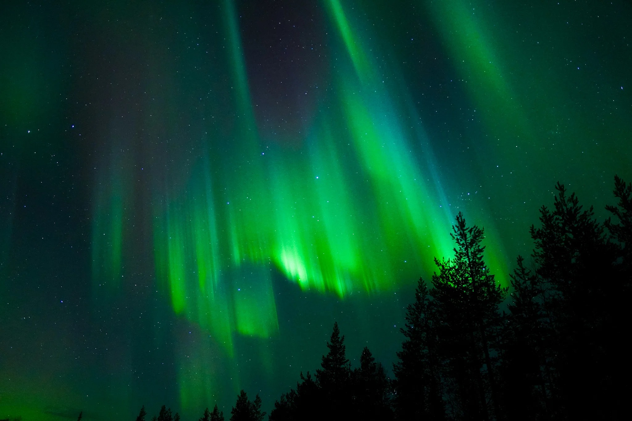 Tour en minivan privado por la Aurora Boreal con recogida y fotos profesionales.