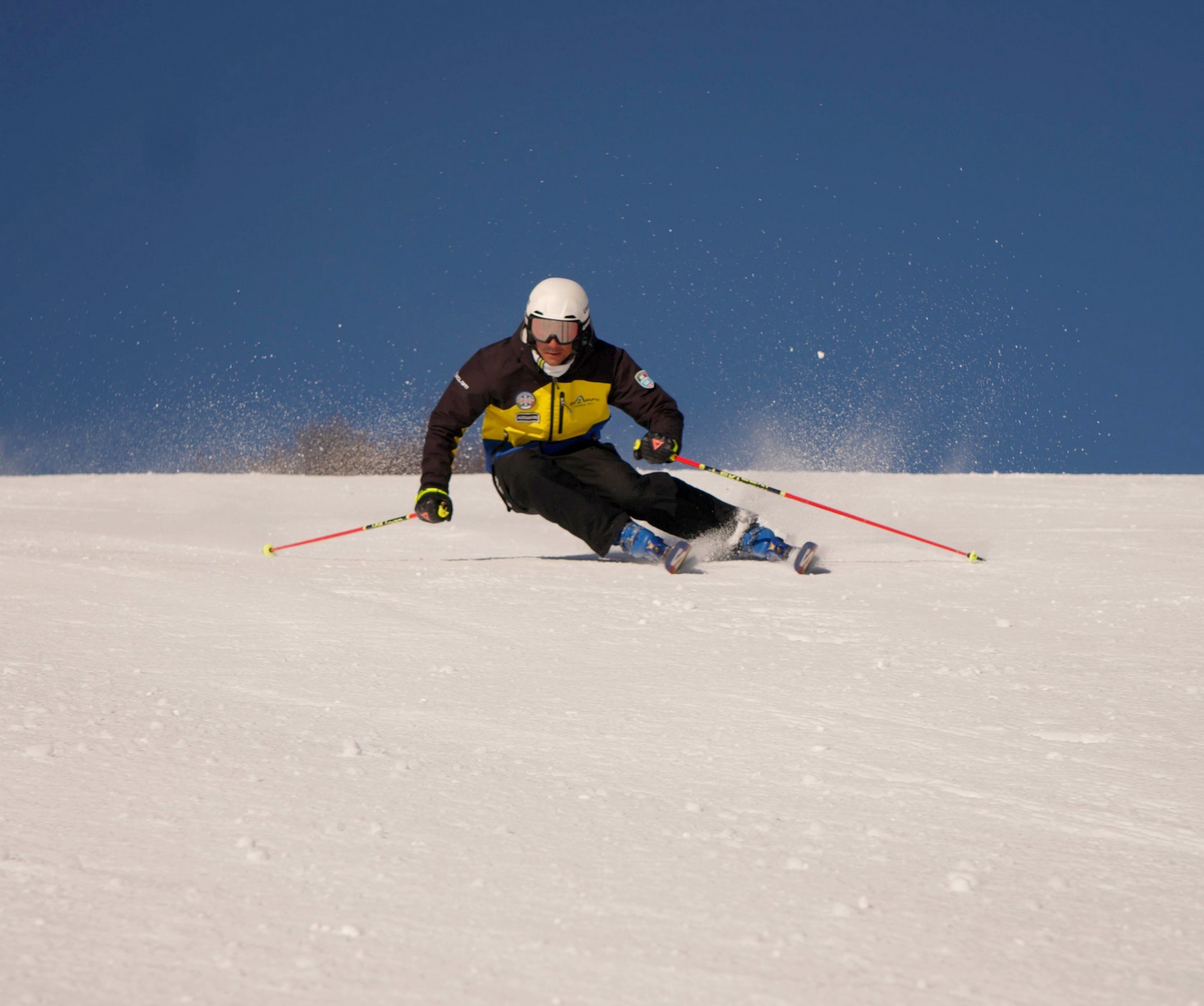 Cours particulier de ski Adultes (à partir de 12 ans) pour Tous niveaux avec Scuola Sci Alpi Azzurre.