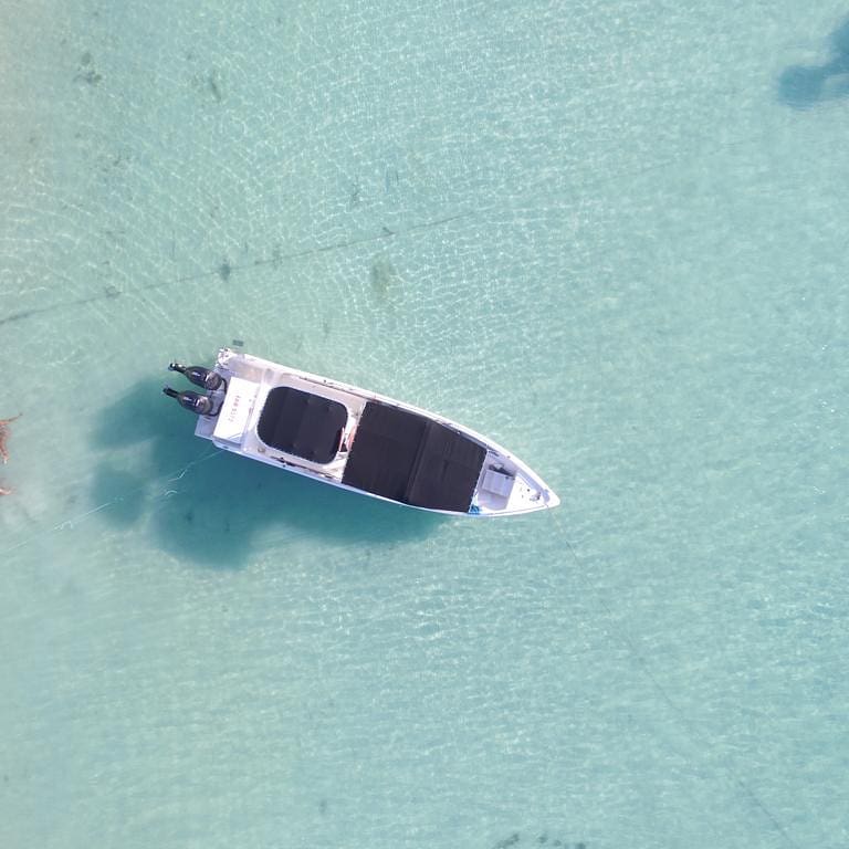 Balade en bateau d'une demi-journée dans les mangroves depuis Sainte Rose avec Régy Excursions Guadeloupe.