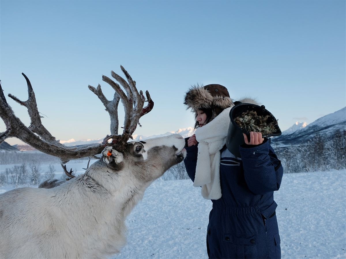 Rentierfütterung & Sami-Kultur-Tour ab Tromsø mit Mittagessen mit Northern Shots Tours Tromsø.