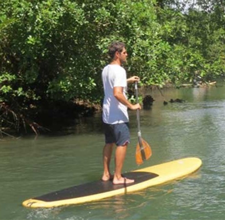 Tour privato di SUP con guida tra le mangrovie ad Anse à la Barque con bevande con No Comply Surf School.
