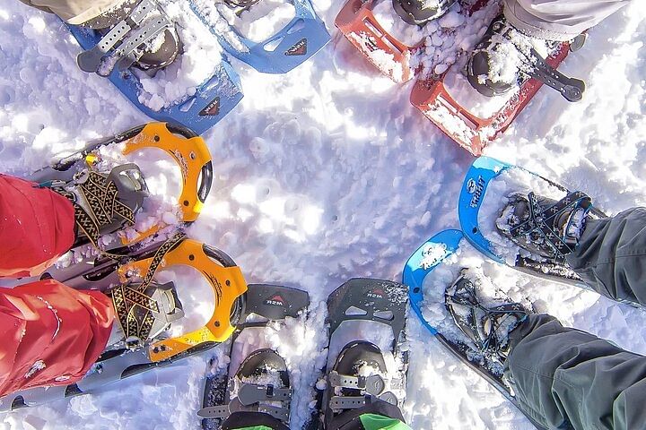 Tour de raquetas de nieve para todos los niveles desde Rovaniemi con almuerzo con ToTheNorth Rovaniemi.