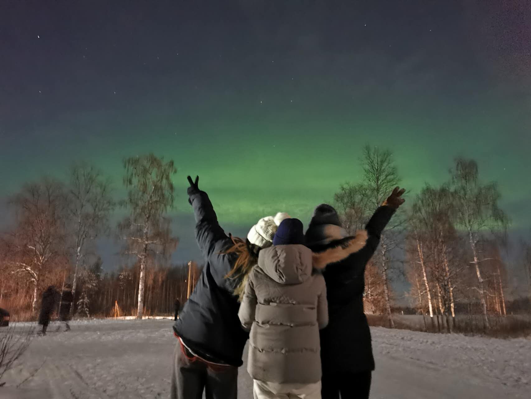 Tour in slitta trainata da cani e renne con Northern Future Rovaniemi.