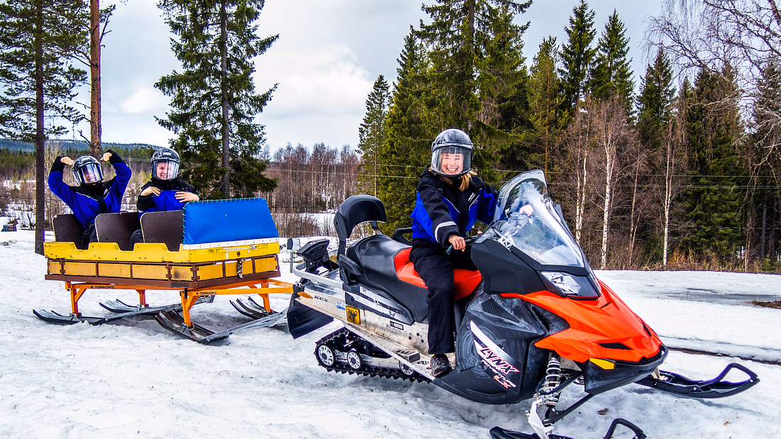 Snowmobile Sleigh Ride Tour with Northern Lights Spotting from Rovaniemi from Lapland Welcome Rovaniemi.