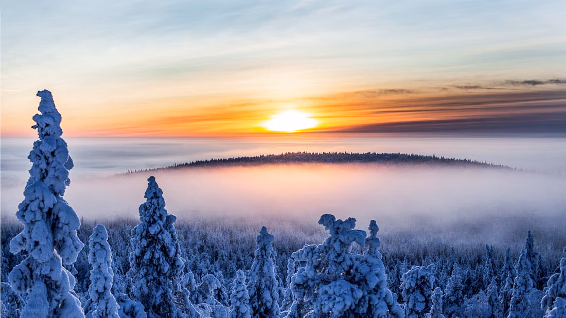 Nature Snowmobile Tour arround Rovaniemi's Surroundings.