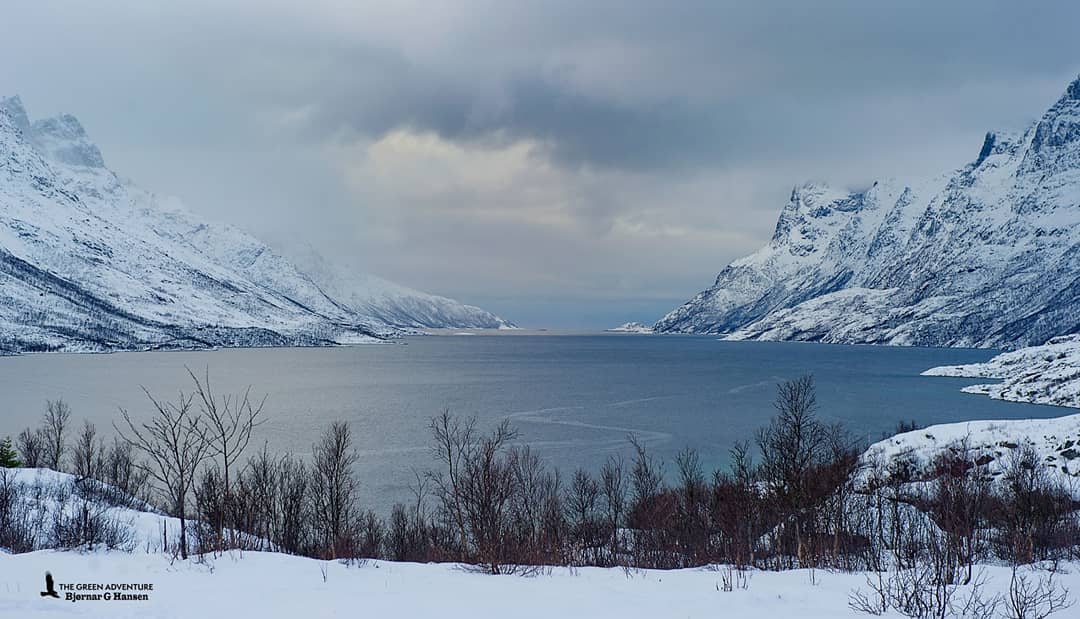 Private 4x4 Van-Tour zu den Fjorden von Kvaløya.