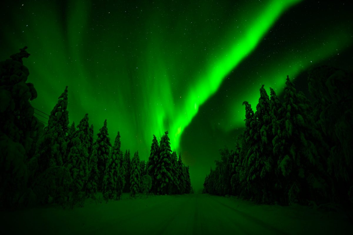 Northern Lights Tour with Professional Photos by Minivan from Rovaniemi.