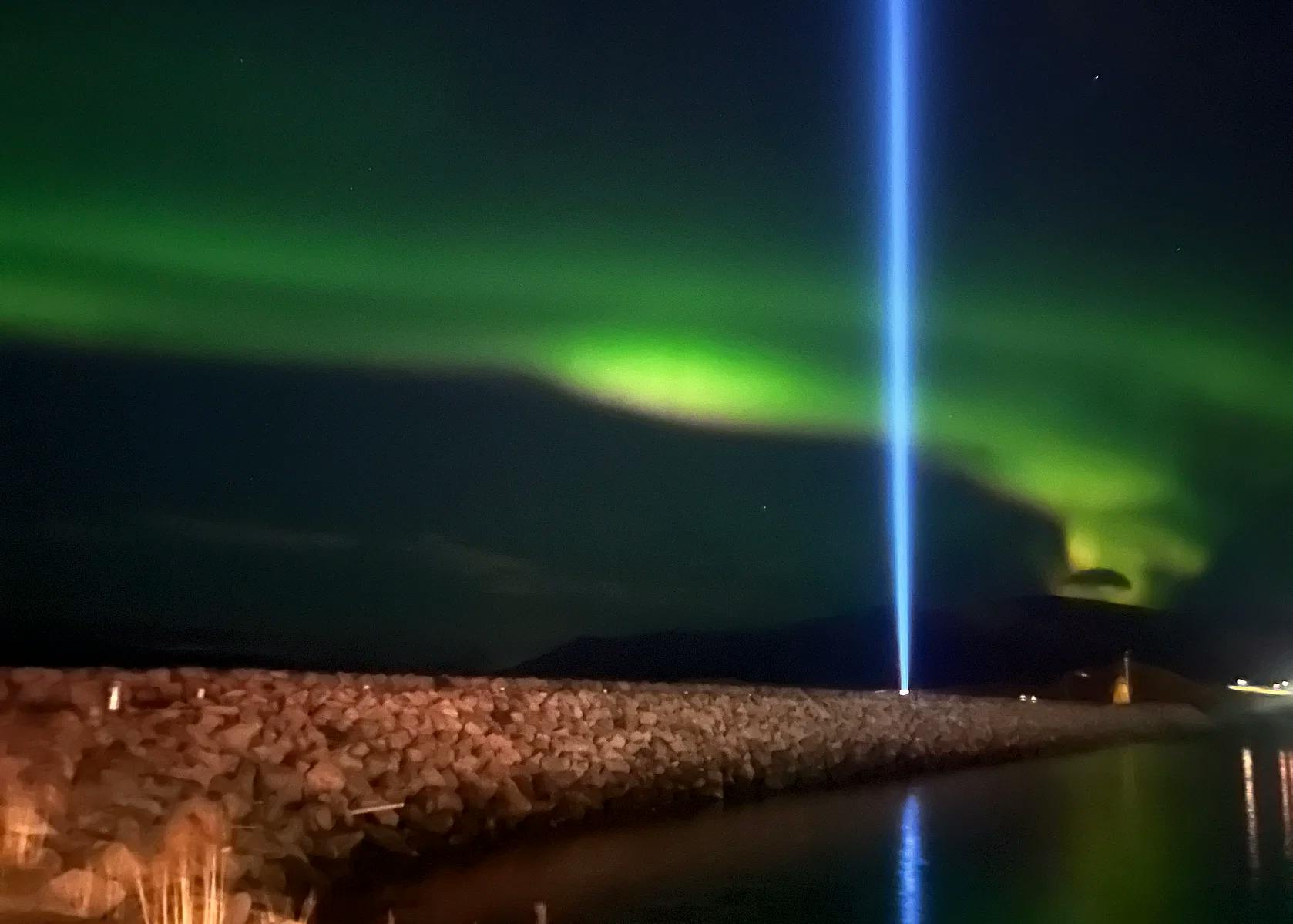Whale Watching Boat Trip in Reykjavík with Guided Tour to Imagine Peace Tower from Elding Adventure at Sea.