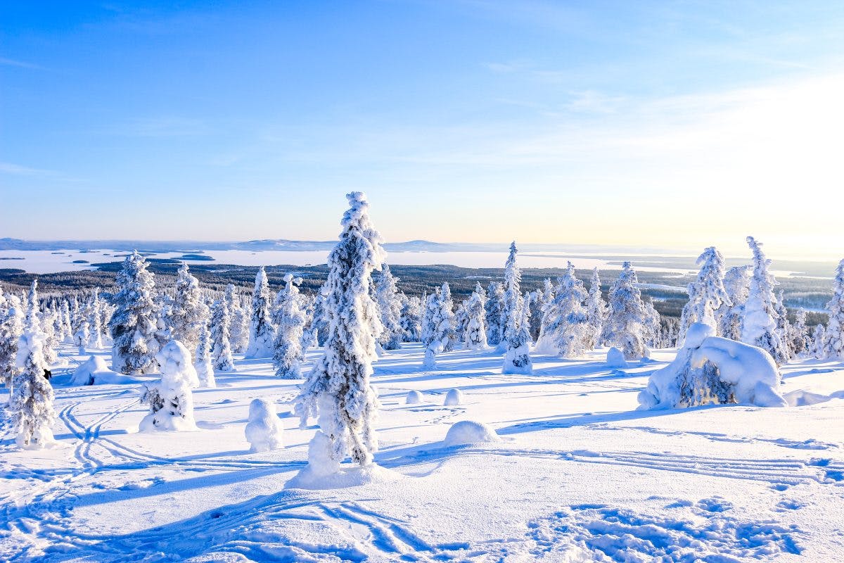 Frozen Forests tour of Riisitunturi National Park from Rovaniemi.
