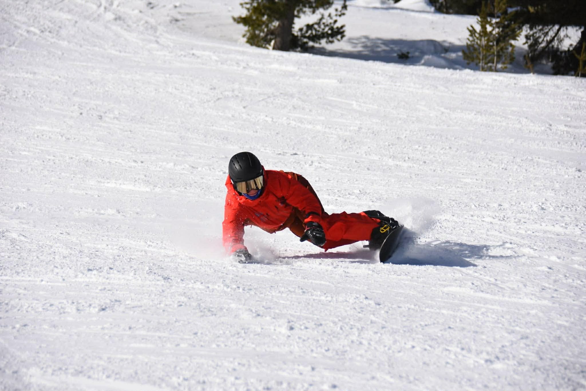 Privater Snowboardkurs (ab 3 J.) für alle Levels.