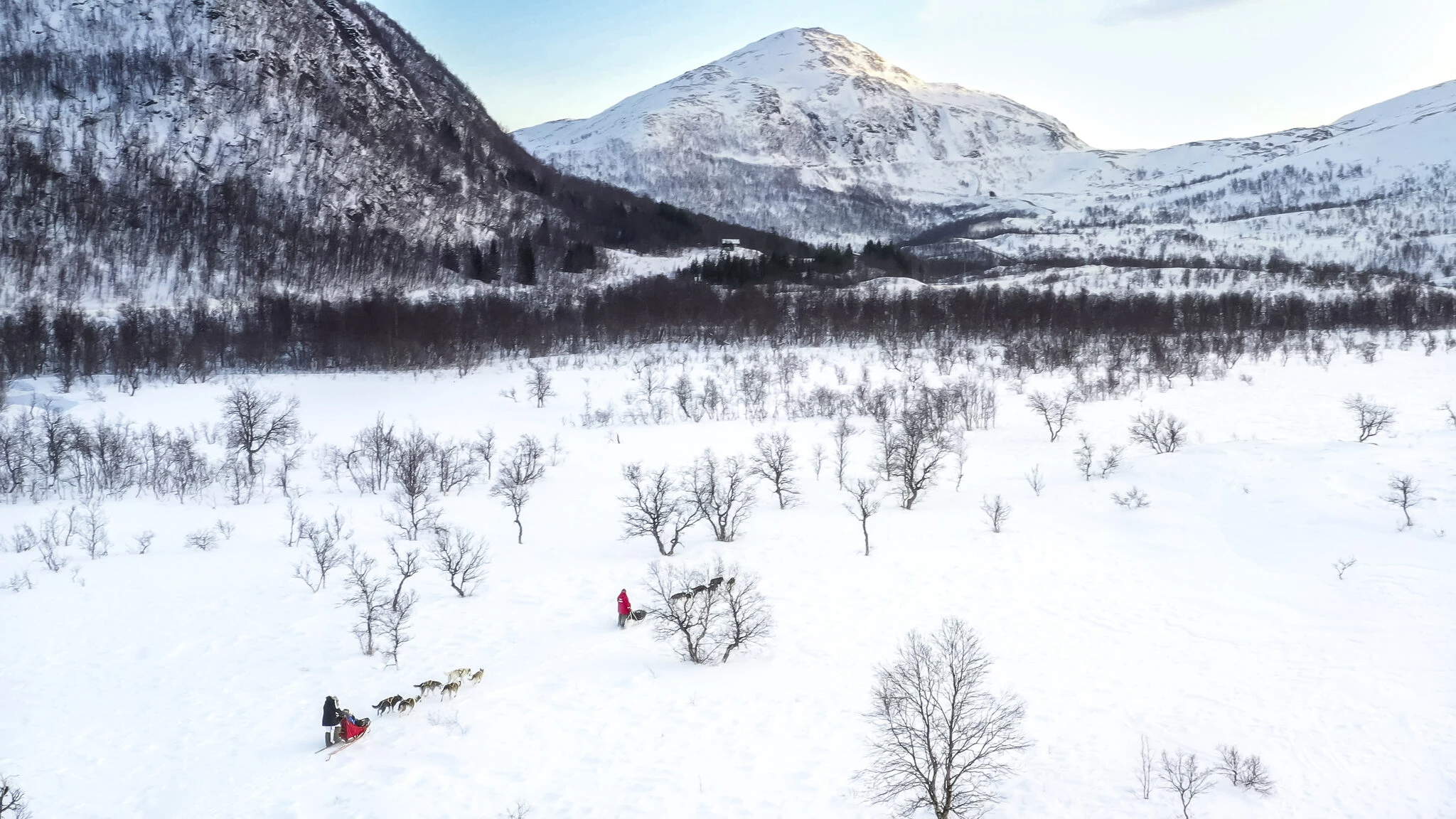 Dog Sledding in Mestervik with Hot Drinks.