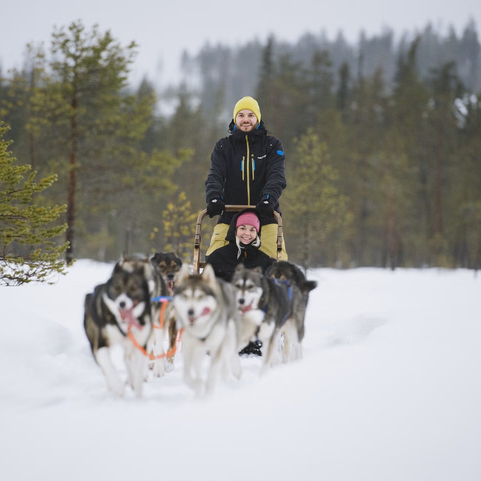 Safari en trineo de huskies y renos en Rovaniemi con raquetas de nieve con Nordic Unique Travels Rovaniemi.