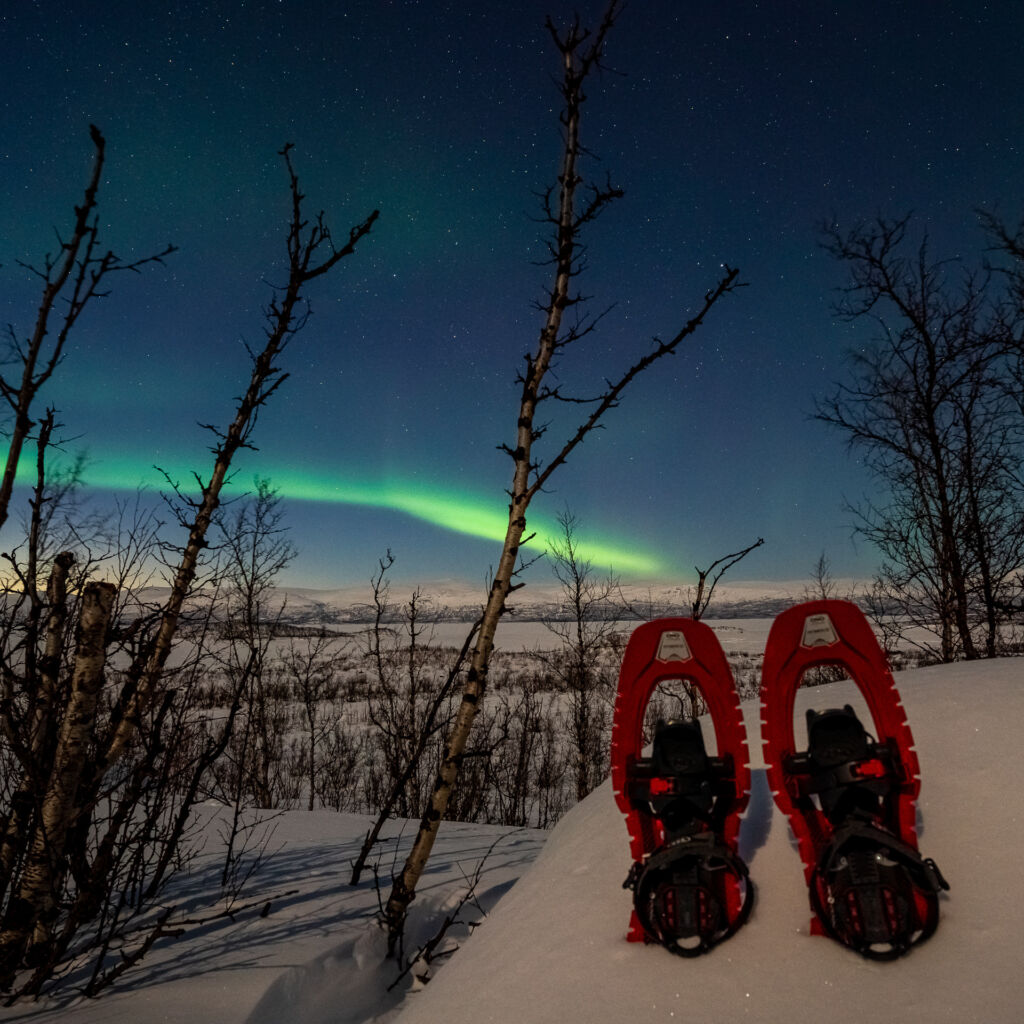 Randonnée raquette (pour Tous niveaux) à Abisko avec Aurores boréales avec Abisko Adventure.