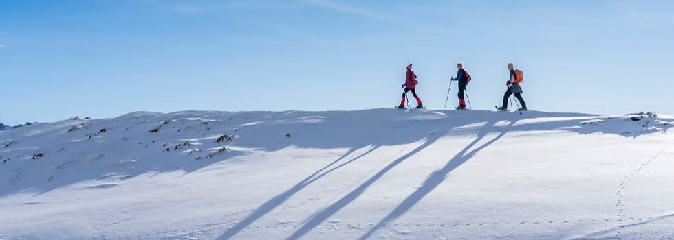 Half Day Snowshoeing Tour from Lofoten with Hot Drinks & Snacks from Ridenowtravels Lofoten.