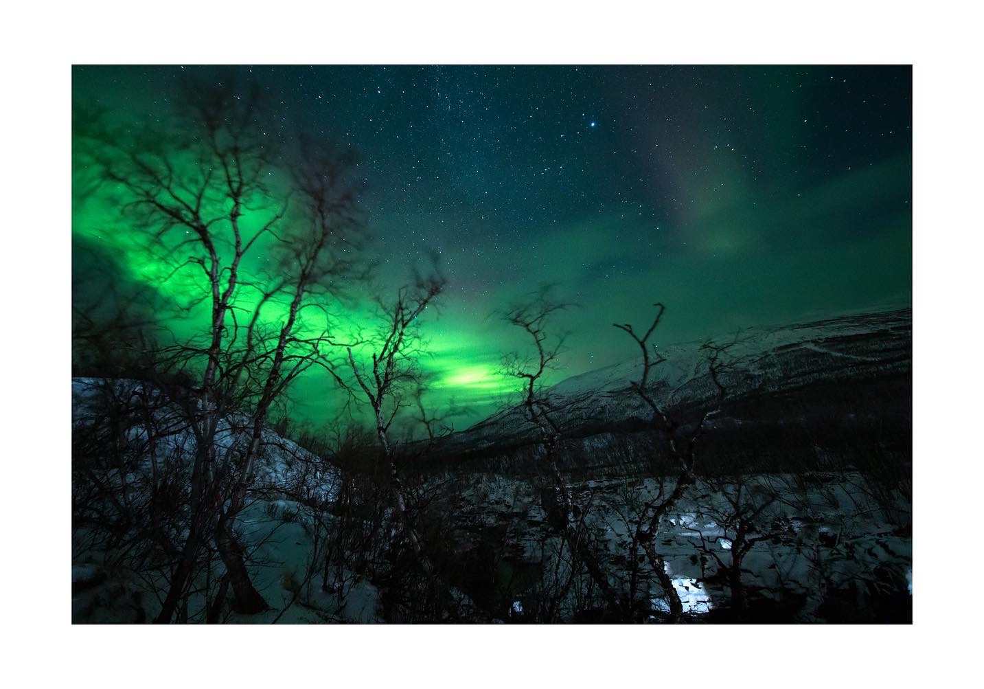 Northern Lights Tour from Kiruna with Local Street Food & Drinks.