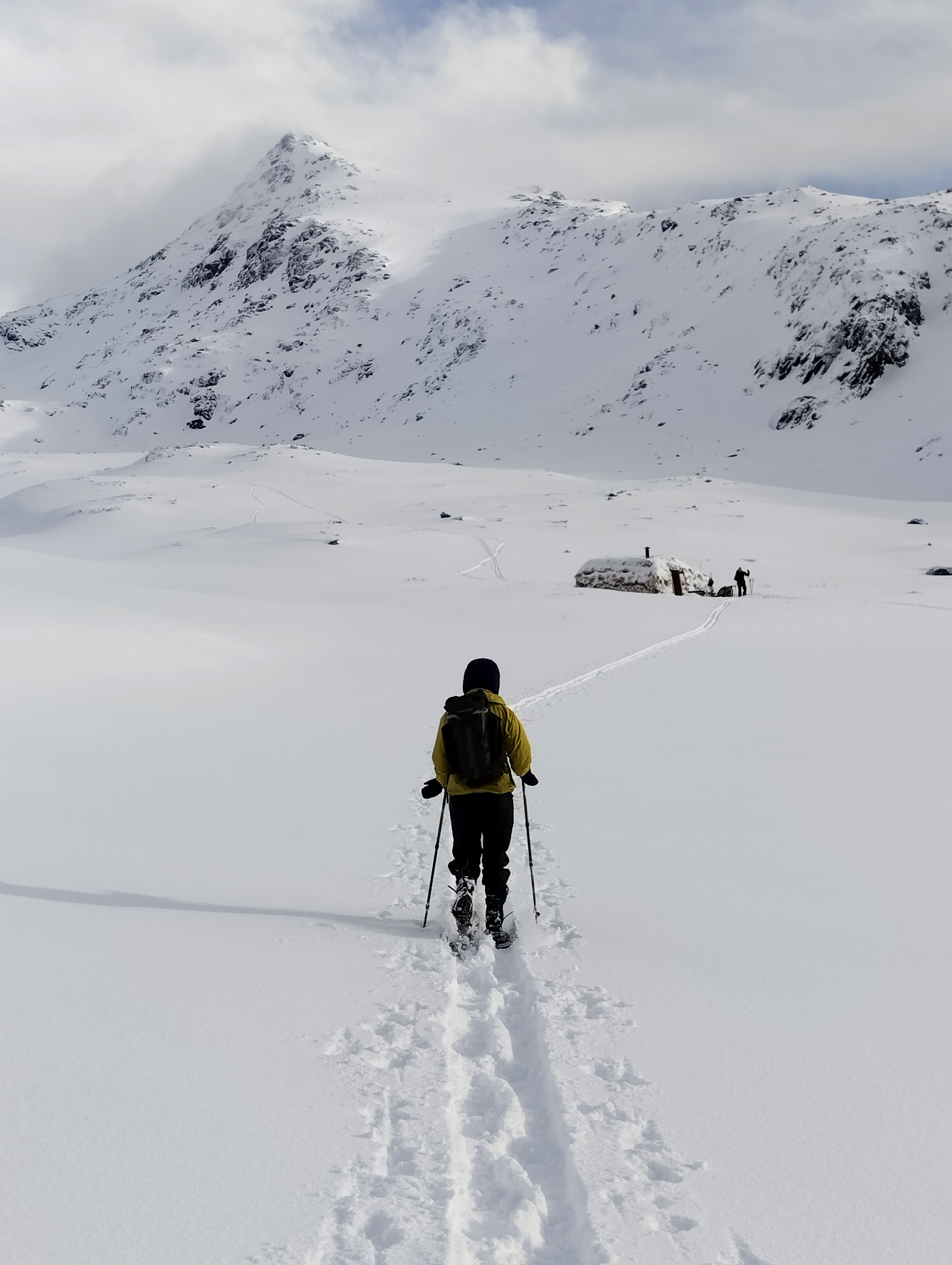 Excursión con raquetas de nieve de un día desde Lofoten con bebidas calientes y snacks con Ridenowtravels Lofoten.