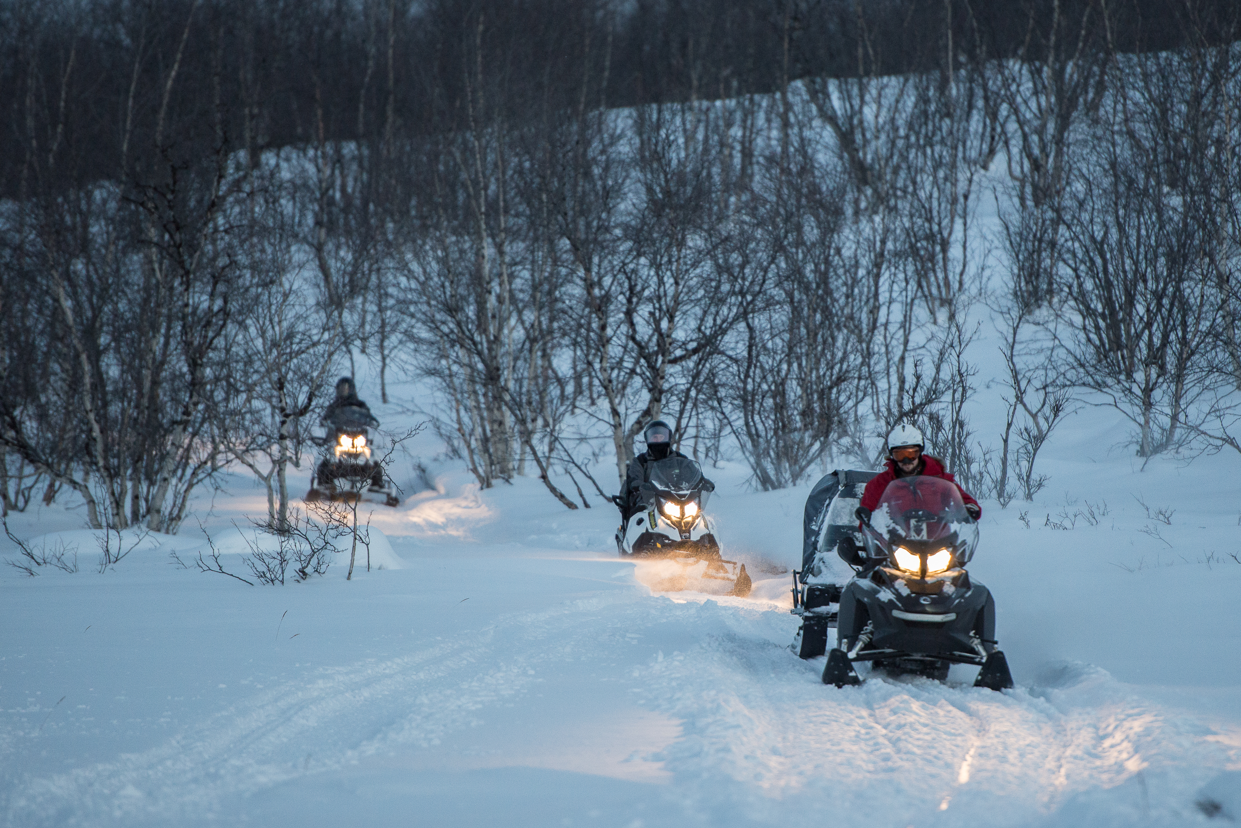 Tour en moto de nieve al Parque Nacional de Abisko con snacks con Outback Abisko.